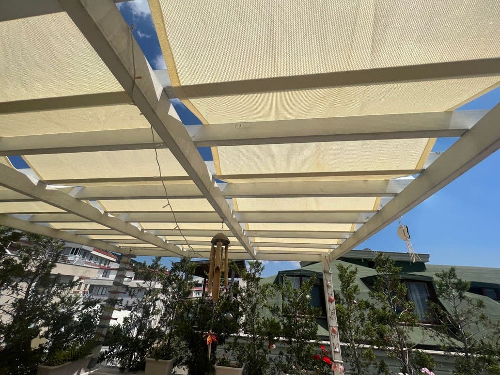 Kamelya Brandası - Fotoğraf 2